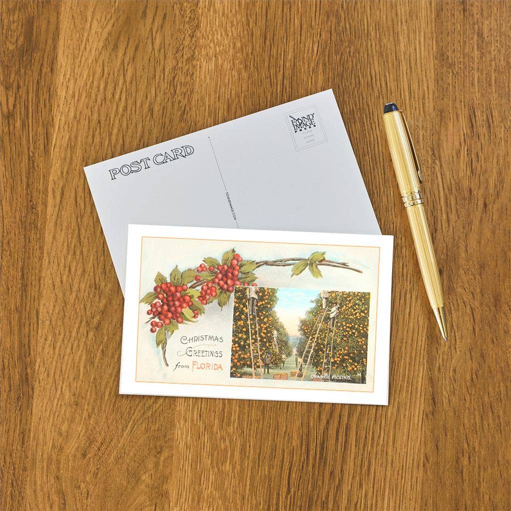 Postcard FL-673 Christmas Greetings from Florida