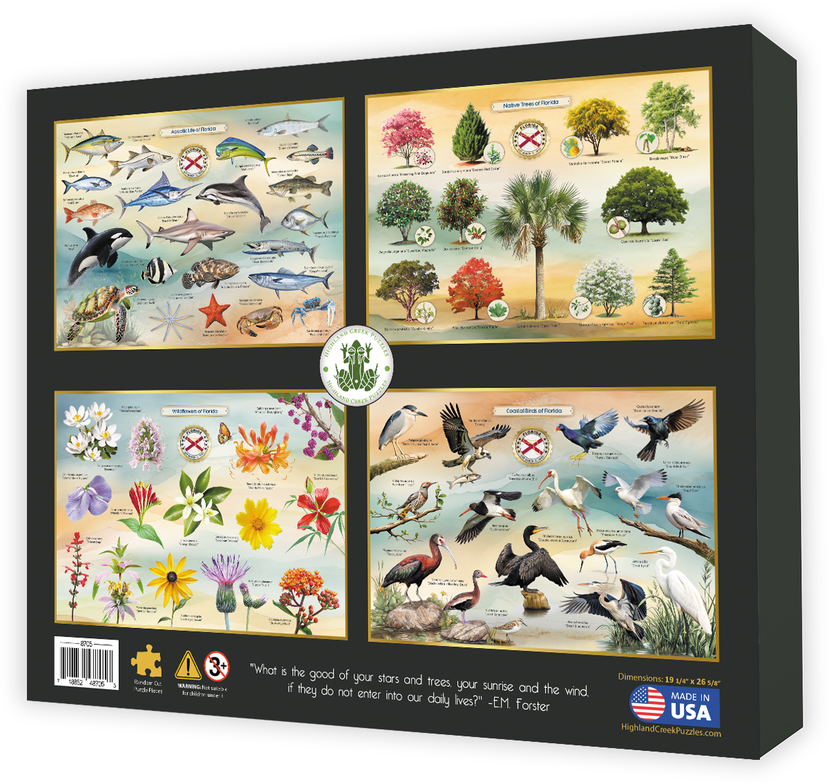 Mushrooms of Florida Jigsaw Puzzle