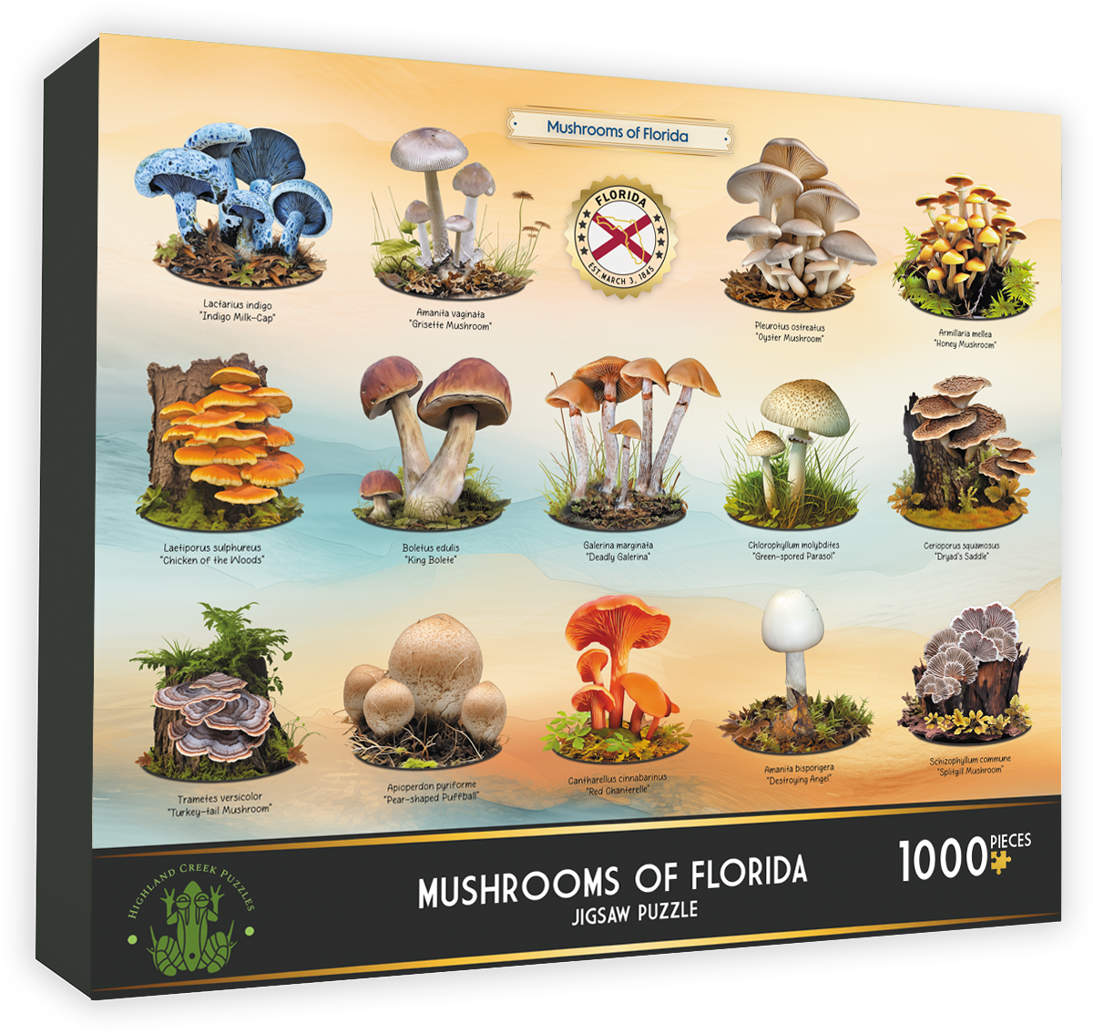 Mushrooms of Florida Jigsaw Puzzle