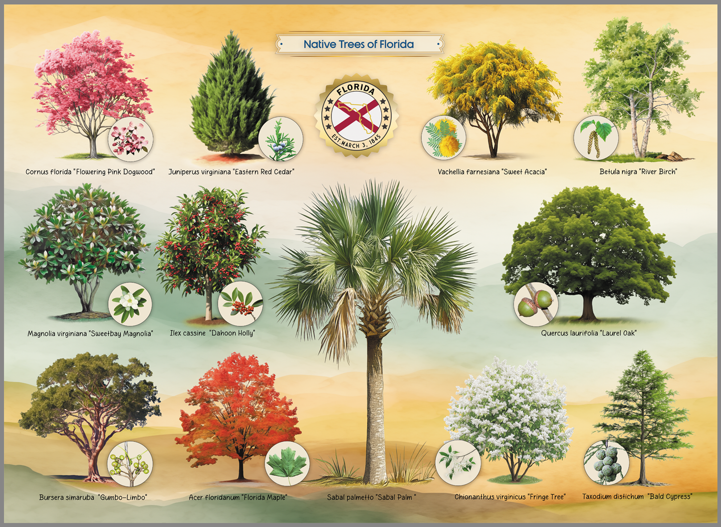 Native Trees of Florida Jigsaw Puzzle