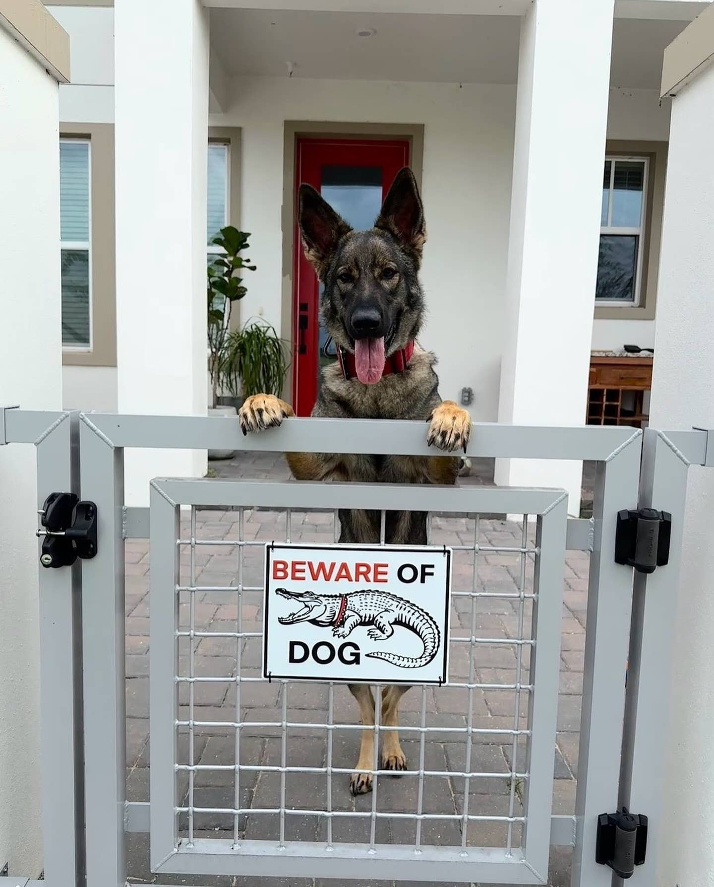 Beware of Dog Aluminum Sign