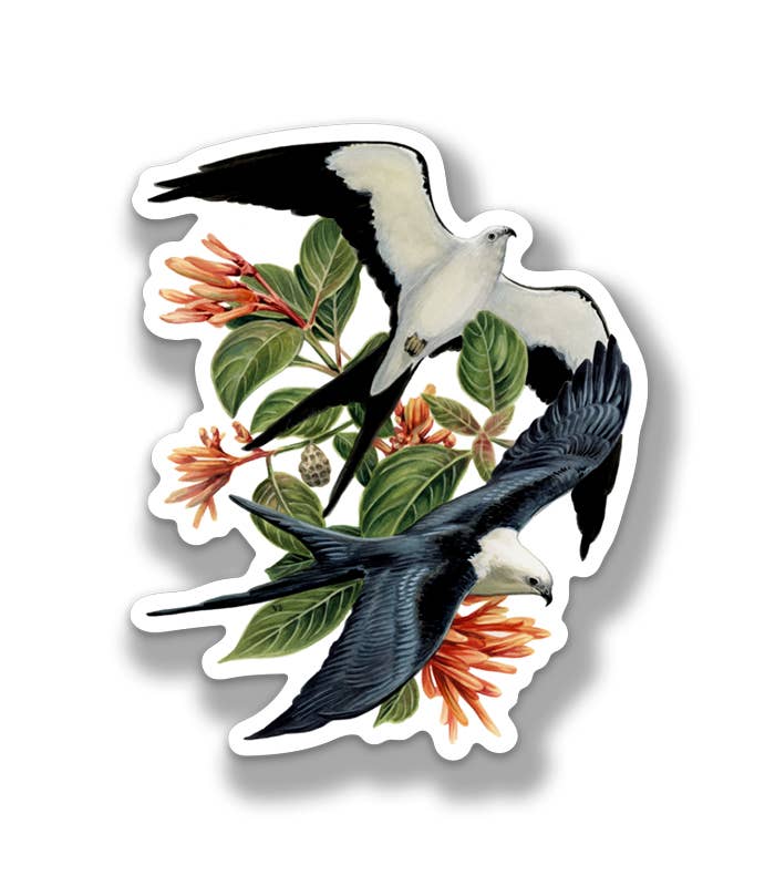 Swallow-Tailed Kites Sticker