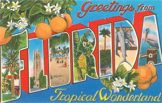 Postcard FL-1211 Greetings from Florida