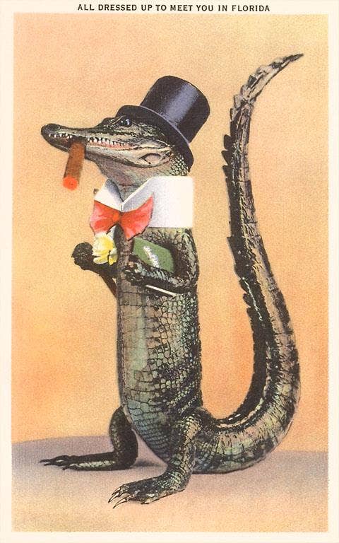 Magnet FL-795 Alligator in Top Hat