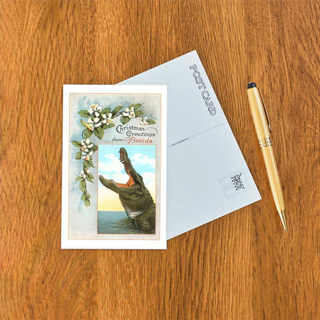 Postcard FL-961 Christmas Greetings from Florida, Alligator
