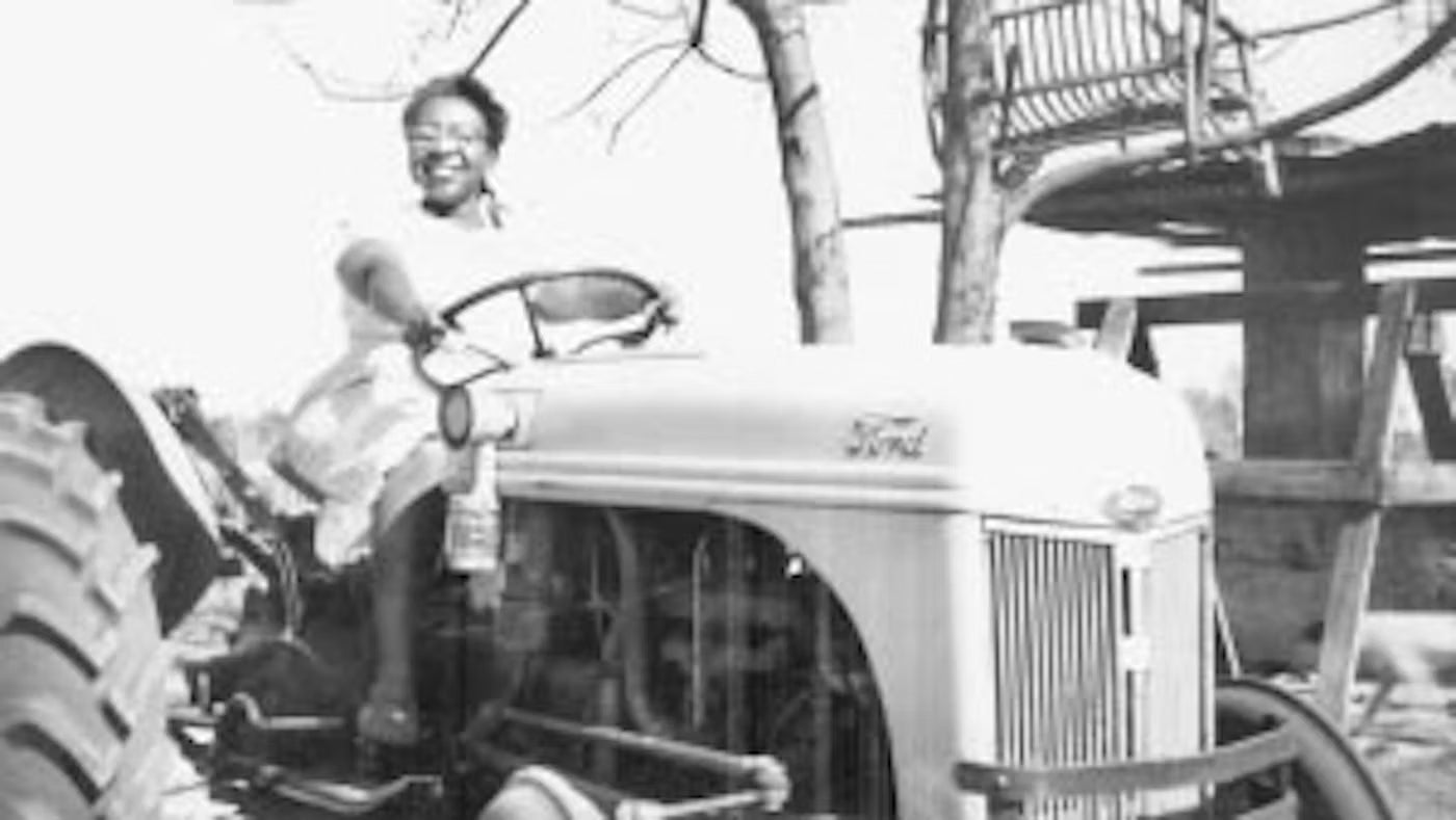 Alachua County, Florida by Lizzie PRB Jenkins