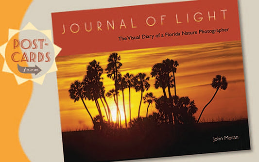 Postcards from Journal of Light by John Moran