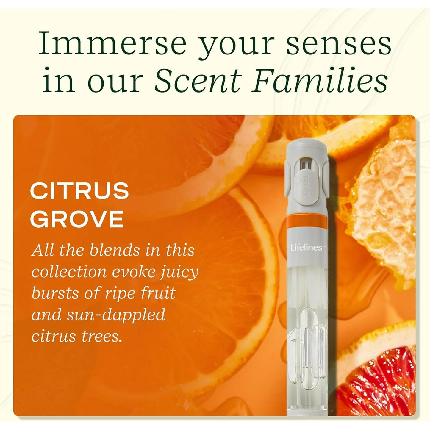 Lifelines Essential Oil Blends Pen Diffuser (Citrus Grove)